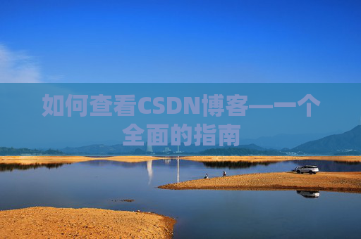 如何查看CSDN博客—一个全面的指南